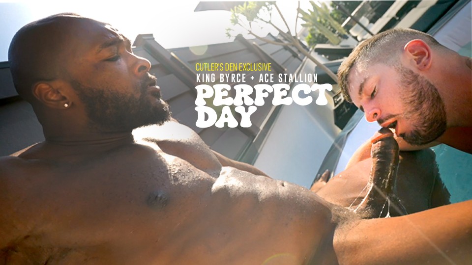 Perfect Day – King Bryce & Ace Stallion