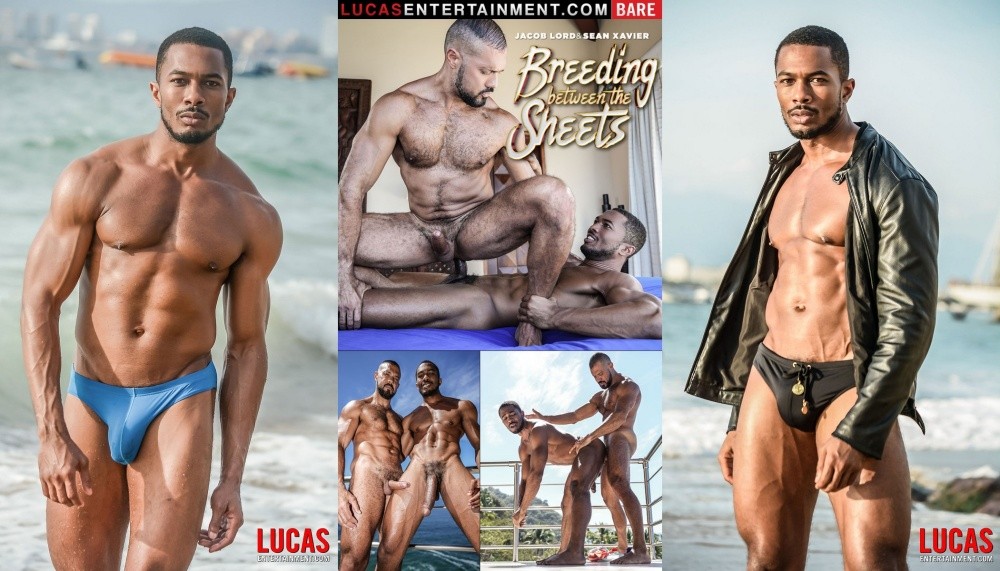 Sean Xavier And Jacob Lord Swap Loads – Breeding Between the Sheets
